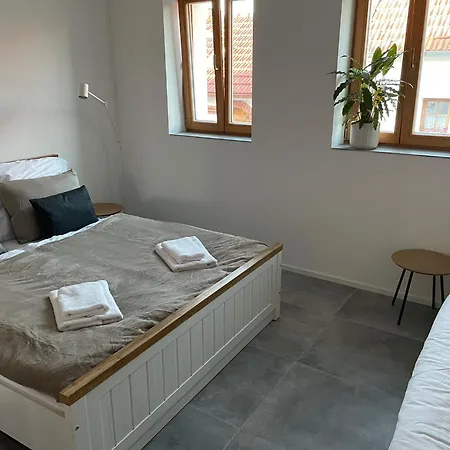 Apartment U Blechy A Svaba *